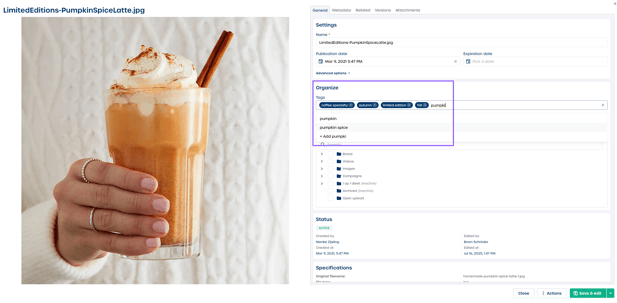 adding tags to assets in dam